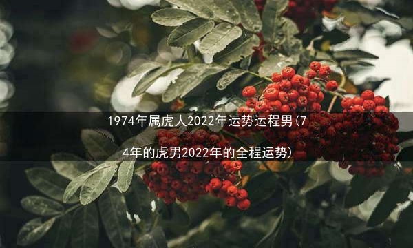 1974年属虎人2022年运势运程男(74年的虎男2022年的全程运势)