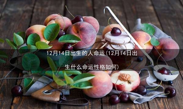 12月14日出生的人命运(12月14日出生什么命运性格如何)