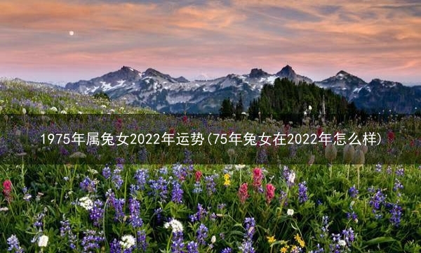 1975年属兔女2022年运势(75年兔女在2022年怎么样)