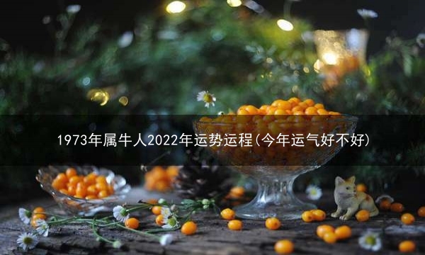 1973年属牛人2022年运势运程(今年运气好不好)