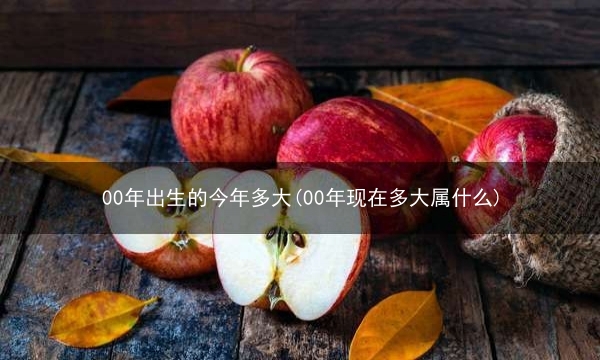 00年出生的今年多大(00年现在多大属什么)