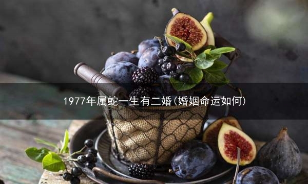 1977年属蛇一生有二婚(婚姻命运如何)