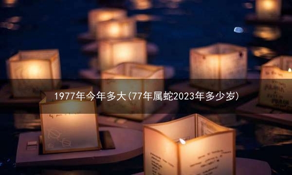 1977年今年多大(77年属蛇2023年多少岁)