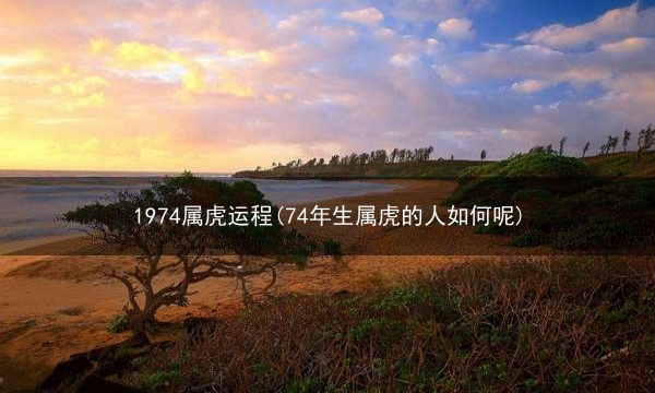 1974属虎运程(74年生属虎的人如何呢)