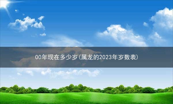 00年现在多少岁(属龙的2023年岁数表)