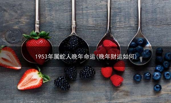 1953年属蛇人晚年命运(晚年财运如何)