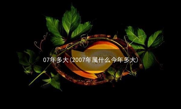 07年多大(2007年属什么今年多大)