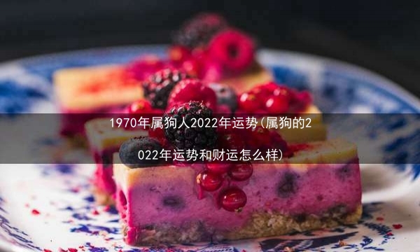 1970年属狗人2022年运势(属狗的2022年运势和财运怎么样)