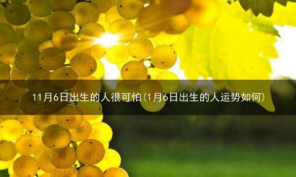 11月6日出生的人很可怕(1月6日出生的人运势如何)