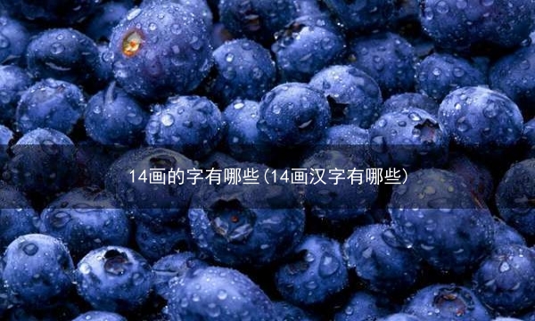 14画的字有哪些(14画汉字有哪些)