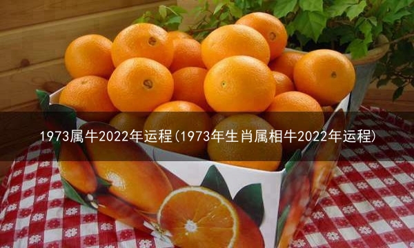 1973属牛2022年运程(1973年生肖属相牛2022年运程)