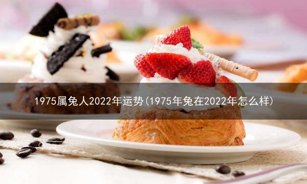 1975属兔人2022年运势(1975年兔在2022年怎么样)