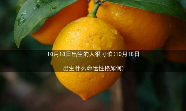 10月18日出生的人很可怕(10月18日出生什么命运性格如何)