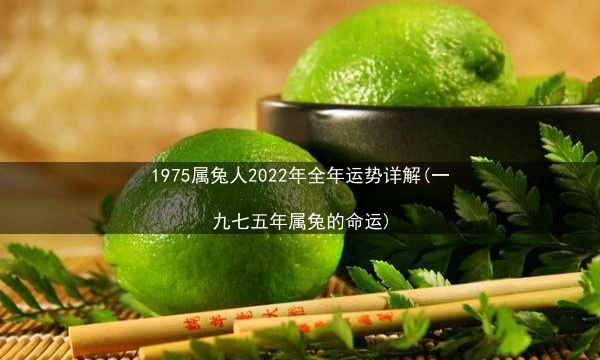 1975属兔人2022年全年运势详解(一九七五年属兔的命运)