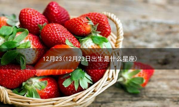 12月23(12月23日出生是什么星座)