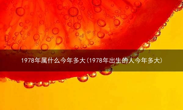 1978年属什么今年多大(1978年出生的人今年多大)