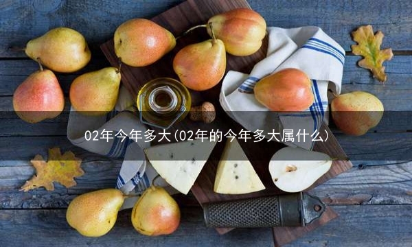 02年今年多大(02年的今年多大属什么)