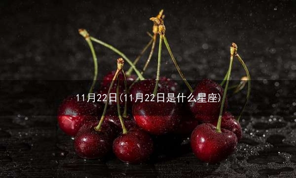 11月22日(11月22日是什么星座)