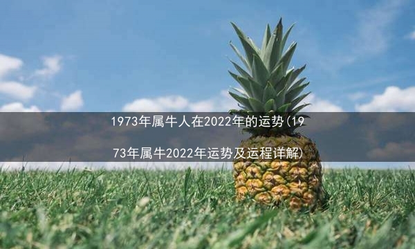 1973年属牛人在2022年的运势(1973年属牛2022年运势及运程详解)