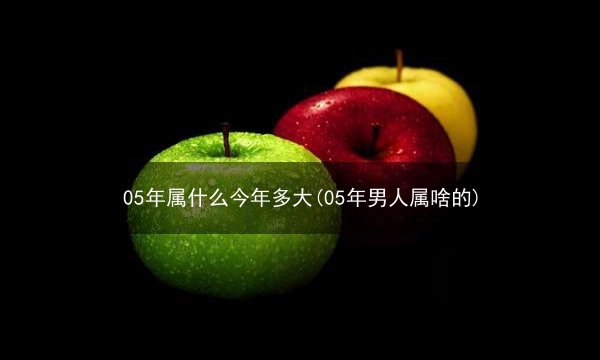 05年属什么今年多大(05年男人属啥的)