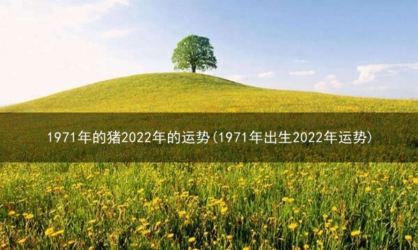 1971年的猪2022年的运势(1971年出生2022年运势)