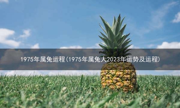 1975年属兔运程(1975年属兔人2023年运势及运程)