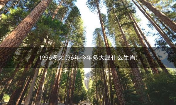 1996多大(96年今年多大属什么生肖)