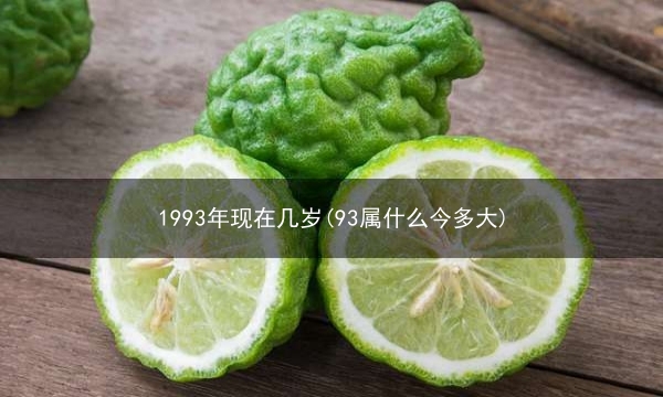 1993年现在几岁(93属什么今多大)