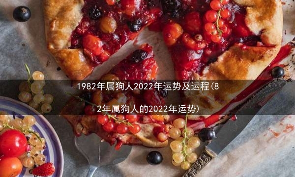 1982年属狗人2022年运势及运程(82年属狗人的2022年运势)