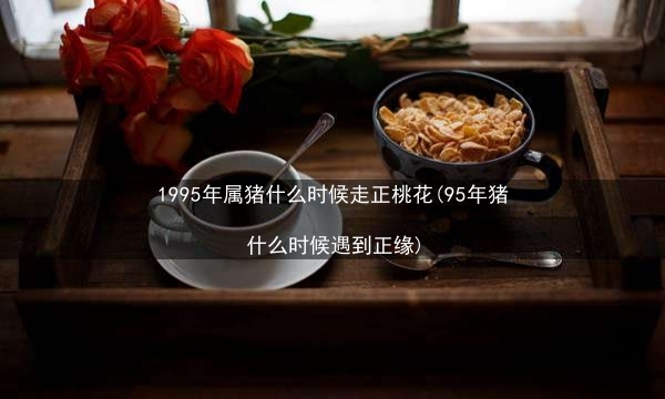 1995年属猪什么时候走正桃花(95年猪什么时候遇到正缘)