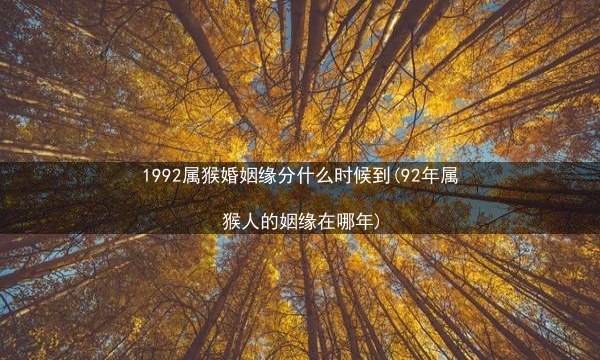 1992属猴婚姻缘分什么时候到(92年属猴人的姻缘在哪年)