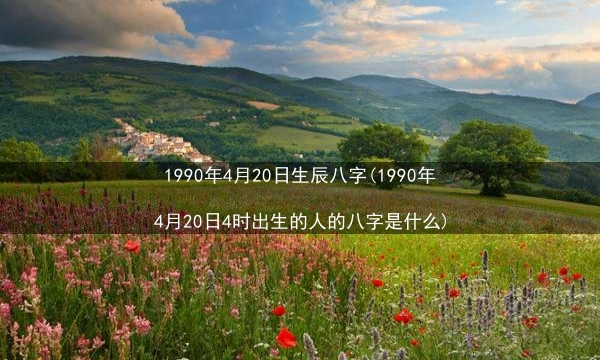 1990年4月20日生辰八字(1990年4月20日4时出生的人的八字是什么)