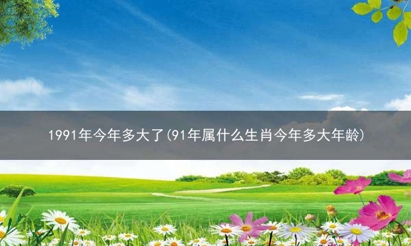 1991年今年多大了(91年属什么生肖今年多大年龄)