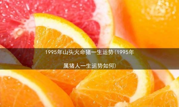 1995年山头火命猪一生运势(1995年属猪人一生运势如何)