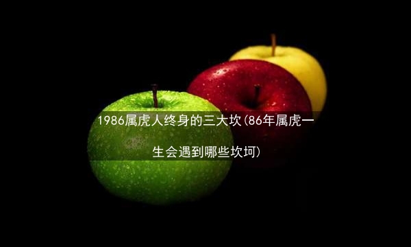 1986属虎人终身的三大坎(86年属虎一生会遇到哪些坎坷)