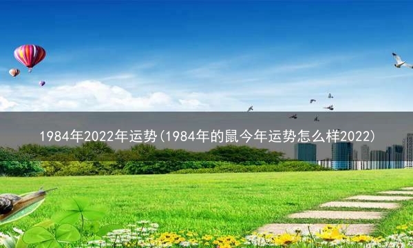 1984年2022年运势(1984年的鼠今年运势怎么样2022)