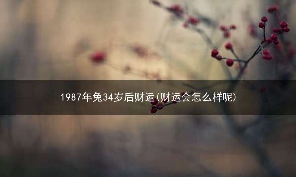 1987年兔34岁后财运(财运会怎么样呢)