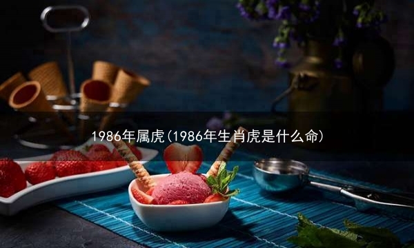 1986年属虎(1986年生肖虎是什么命)