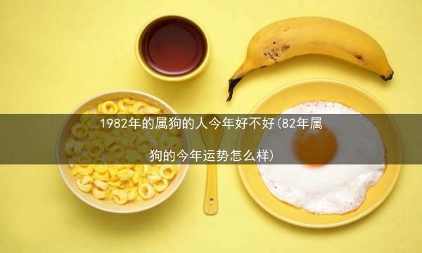 1982年的属狗的人今年好不好(82年属狗的今年运势怎么样)