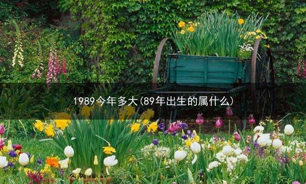 1989今年多大(89年出生的属什么)