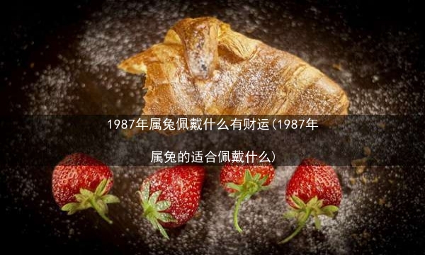 1987年属兔佩戴什么有财运(1987年属兔的适合佩戴什么)