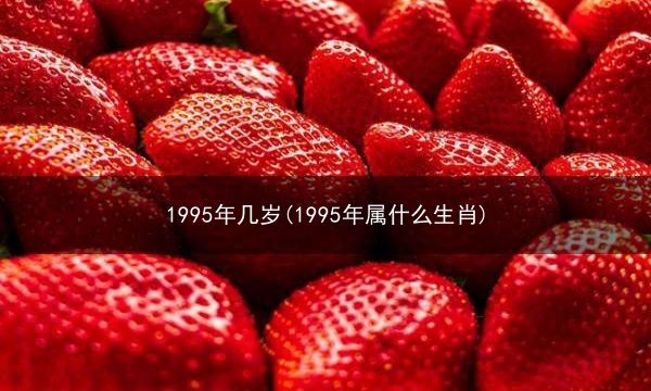 1995年几岁(1995年属什么生肖)