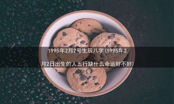 1995年2月2号生辰八字(1995年2月2日出生的人五行缺什么命运好不好)