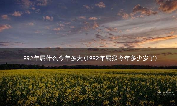 1992年属什么今年多大(1992年属猴今年多少岁了)