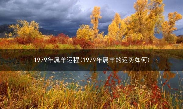 1979年属羊运程(1979年属羊的运势如何)