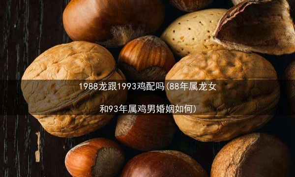 1988龙跟1993鸡配吗(88年属龙女和93年属鸡男婚姻如何)