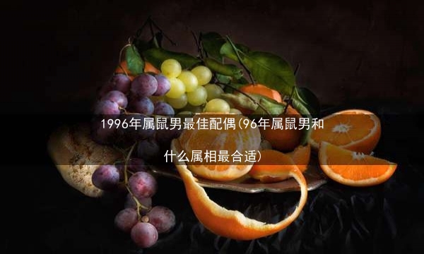 1996年属鼠男最佳配偶(96年属鼠男和什么属相最合适)