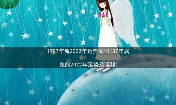 1987年兔2022年运势如何(87年属兔的2022年运势及运程)