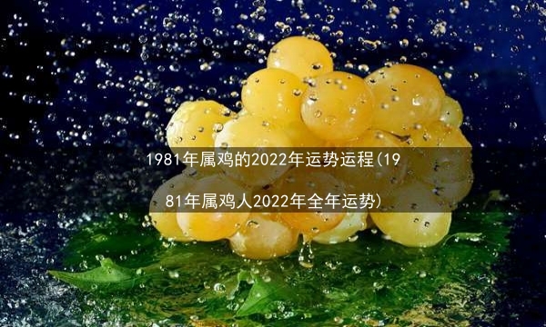 1981年属鸡的2022年运势运程(1981年属鸡人2022年全年运势)