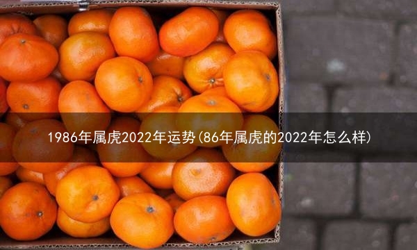 1986年属虎2022年运势(86年属虎的2022年怎么样)